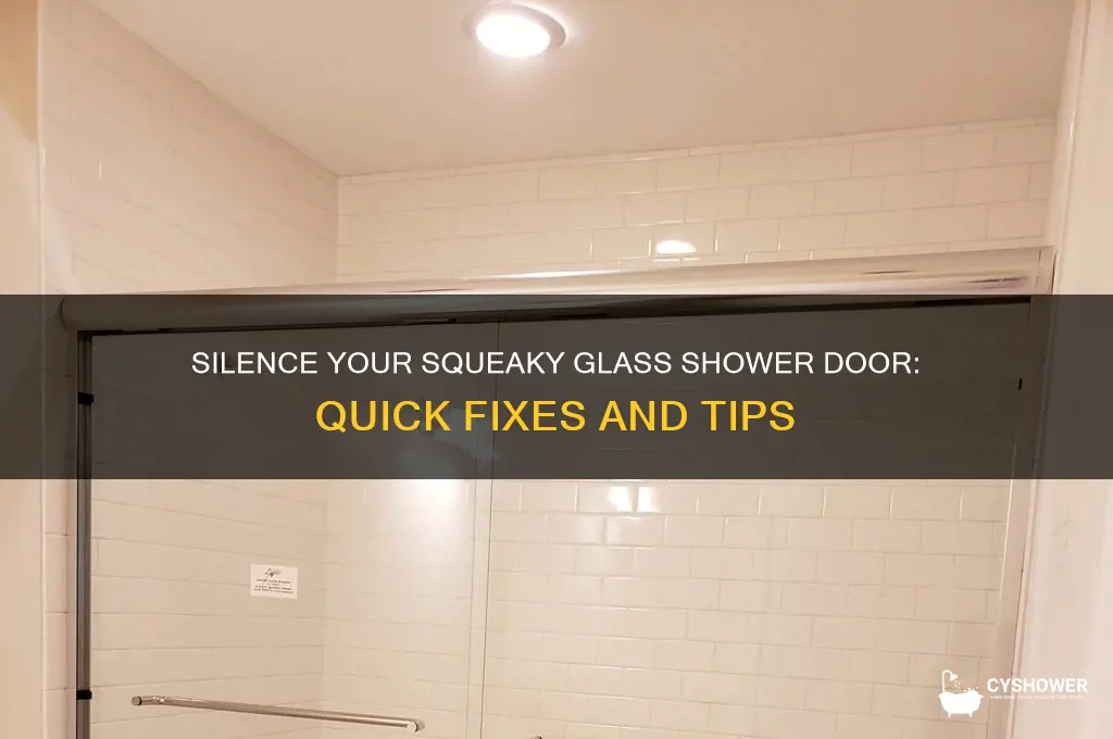 how to stop a glass shower door from squeaking