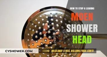 Quick Fix: Stop Your Moen Shower Head Leak Today