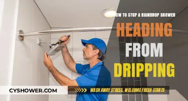 Stop the Drip: Quick Fixes for a Leaky Raindrop Showerhead