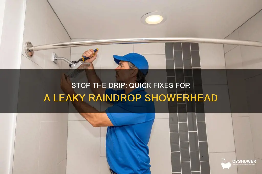 how to stop a raindrop shower heading from dripping