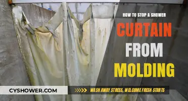 Prevent Shower Curtain Mold: Simple Tips for a Clean Bathroom