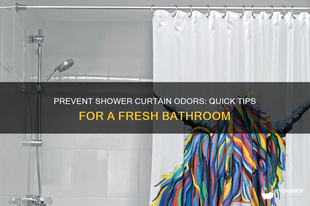 how to stop a shower curtain from smelling