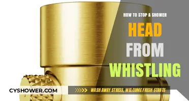 Silence the Shower Whistle: Quick Fixes for a Quieter Bath Time