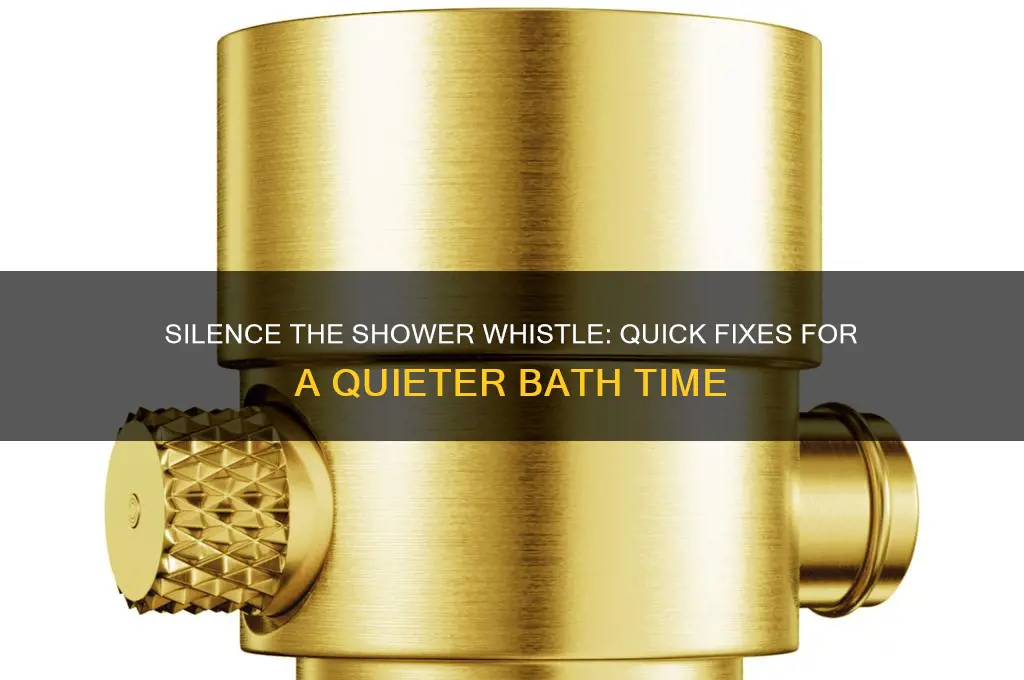 how to stop a shower head from whistling