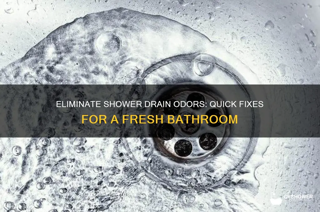 how to stop a stinky shower drain