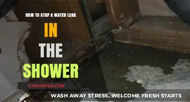 Quick Fixes to Stop Shower Leaks and Save Water