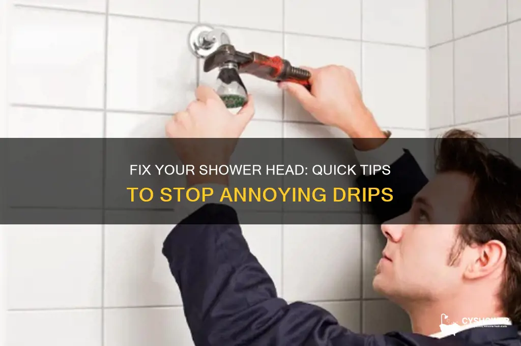 how to stop drips from shower head