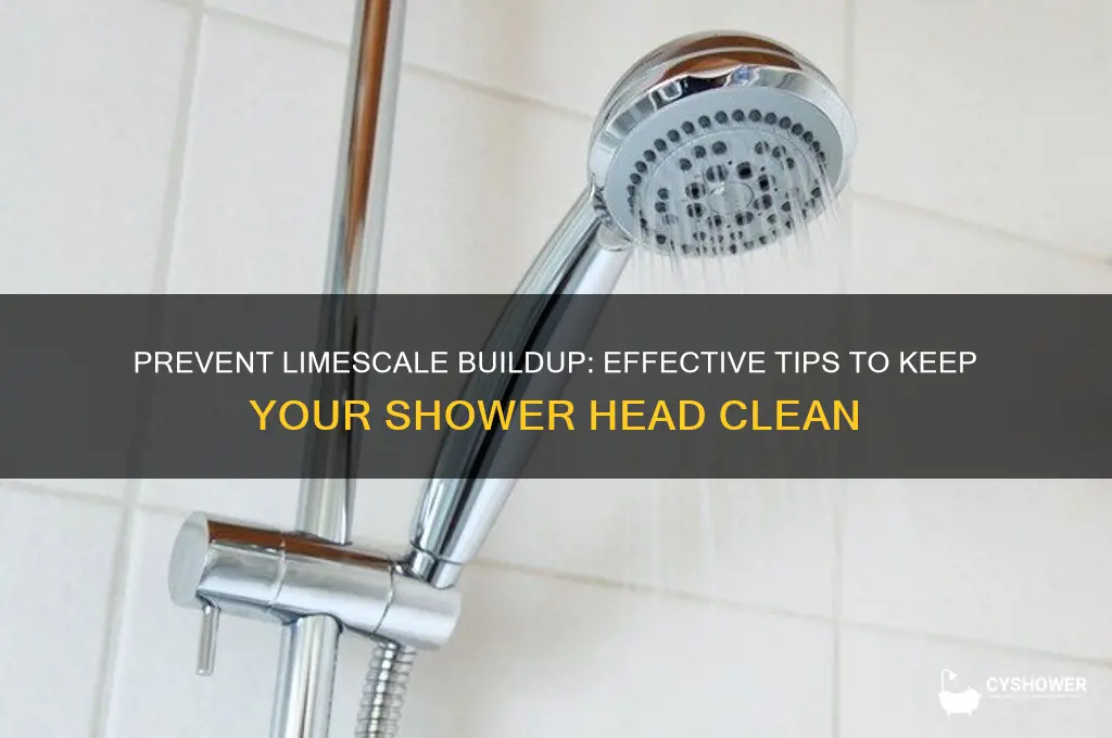 how to stop limescale in shower head