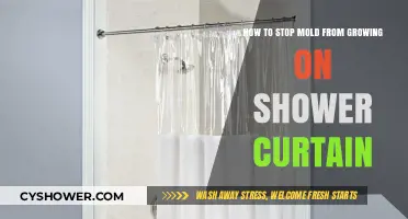 Prevent Mold on Shower Curtains: Easy Cleaning and Maintenance Tips