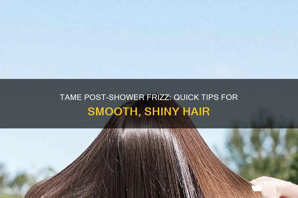 how to stop my hair from frizzing after a shower