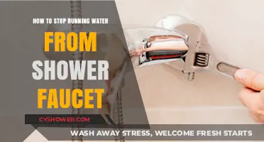 Quick Fixes to Stop Running Water from Your Shower Faucet