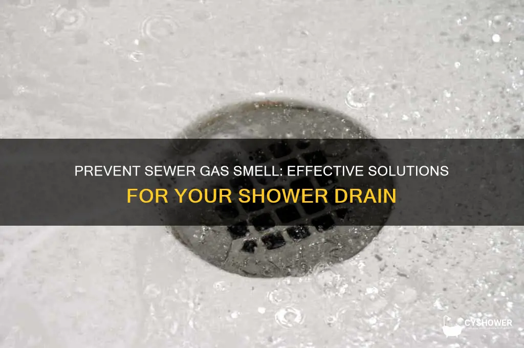 how to stop sewer gas from shower drain