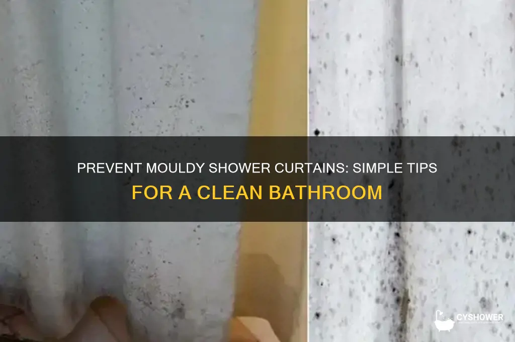 how to stop shower curtains going mouldy