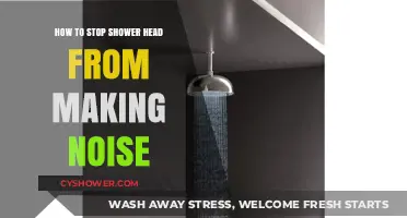 Silence Your Shower Head: Quick Fixes for Annoying Noises