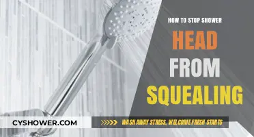Silence Your Squealing Shower Head: Quick Fixes and Solutions