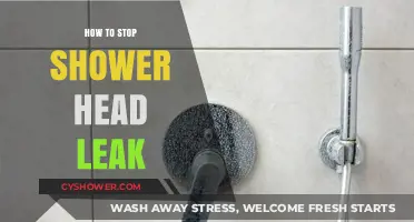 Quick Fixes to Stop Your Shower Head from Leaking