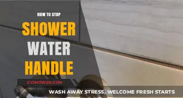 Fixing a Leaky Shower Handle: Quick DIY Repair Guide