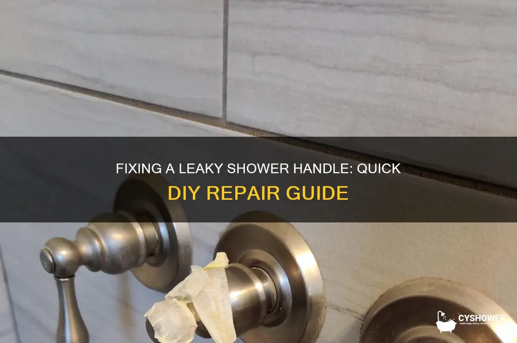 how to stop shower water handle