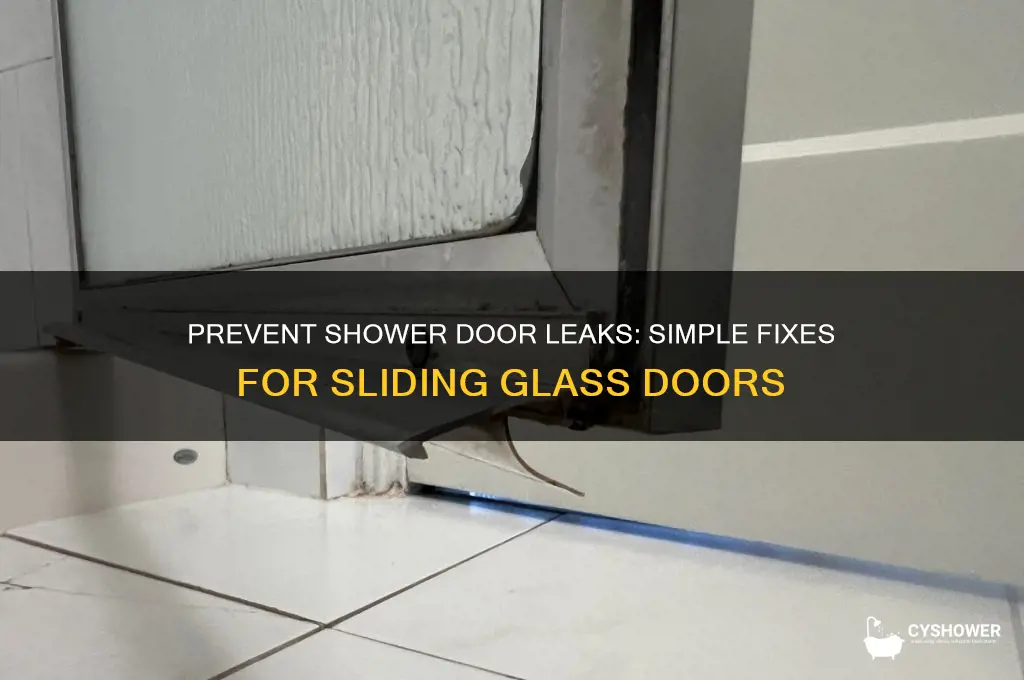how to stop sliding glass shower door from leaking