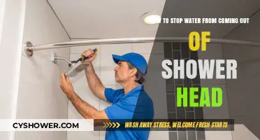 Fix Your Shower Head: Stop Water Leaks with These Simple Tips