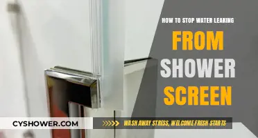 Effective Solutions to Prevent Water Leaking from Your Shower Screen