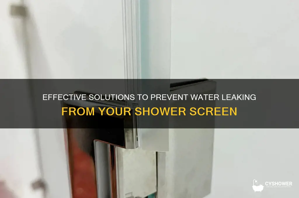 how to stop water leaking from shower screen