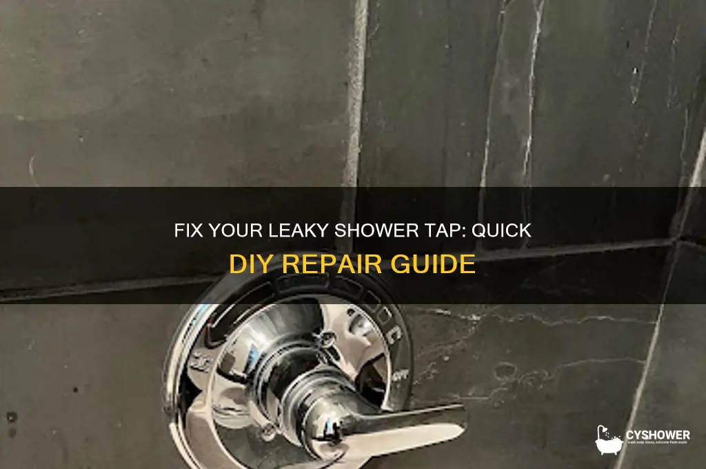 how to stop water leaking from shower tap