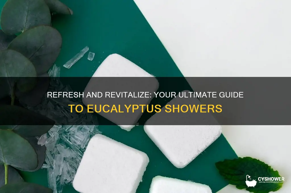 how to take a eucalyptus shower