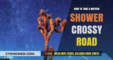 Navigating Meteor Showers: Safe Crossy Road Tips for Stargazers