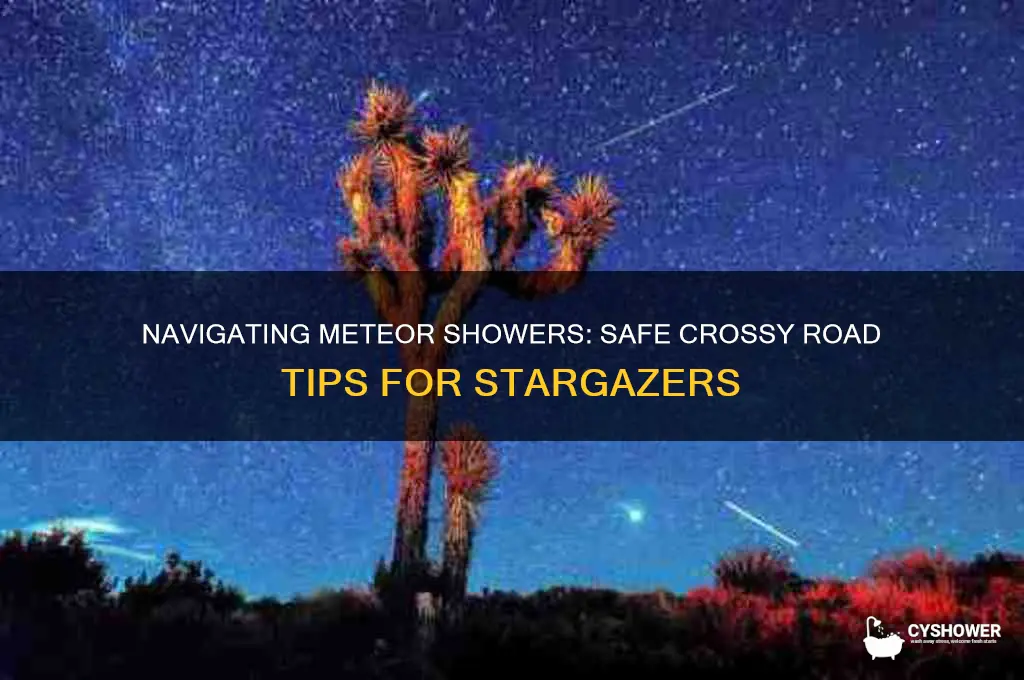 how to take a meteor shower crossy road