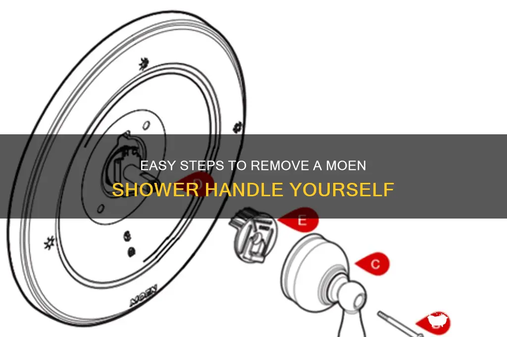 how to take a moen shower handle off