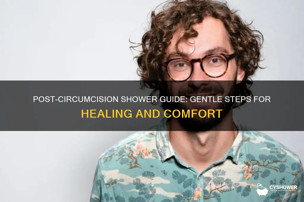 how to take a shower after circumcision