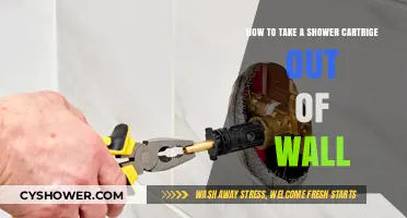 Easy Steps to Remove a Shower Cartridge from the Wall