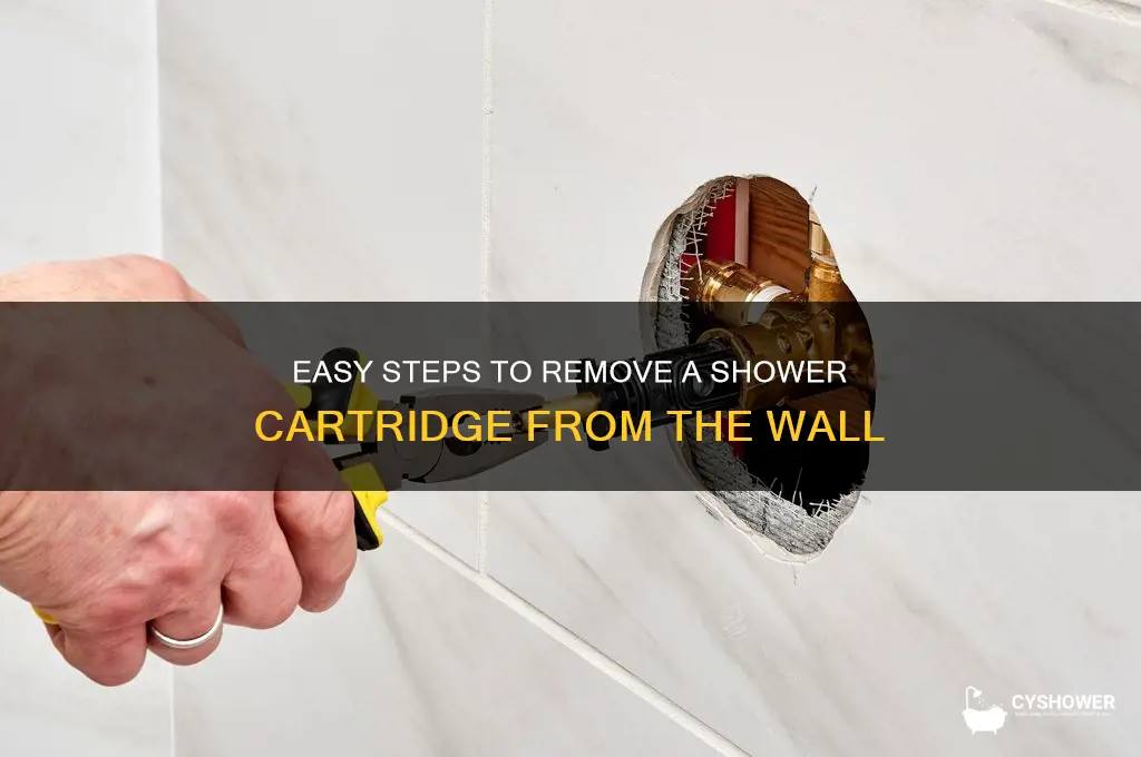 how to take a shower cartrige out of wall