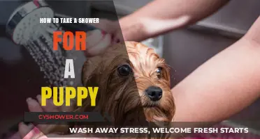 Gentle Puppy Bathing Guide: Tips for a Stress-Free Shower Experience