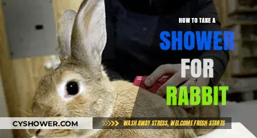Grooming Your Rabbit: A Step-by-Step Guide to Safe Showering