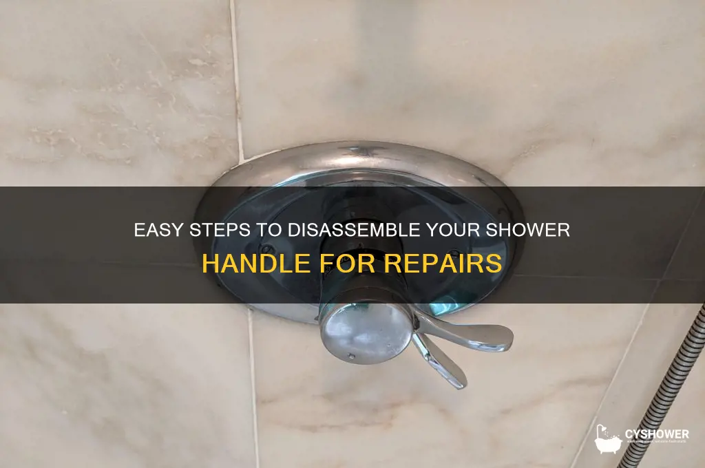 how to take a shower handle apart