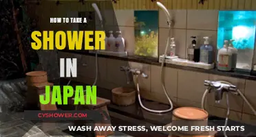 Mastering the Art of Showering in Japan: A Cultural Guide