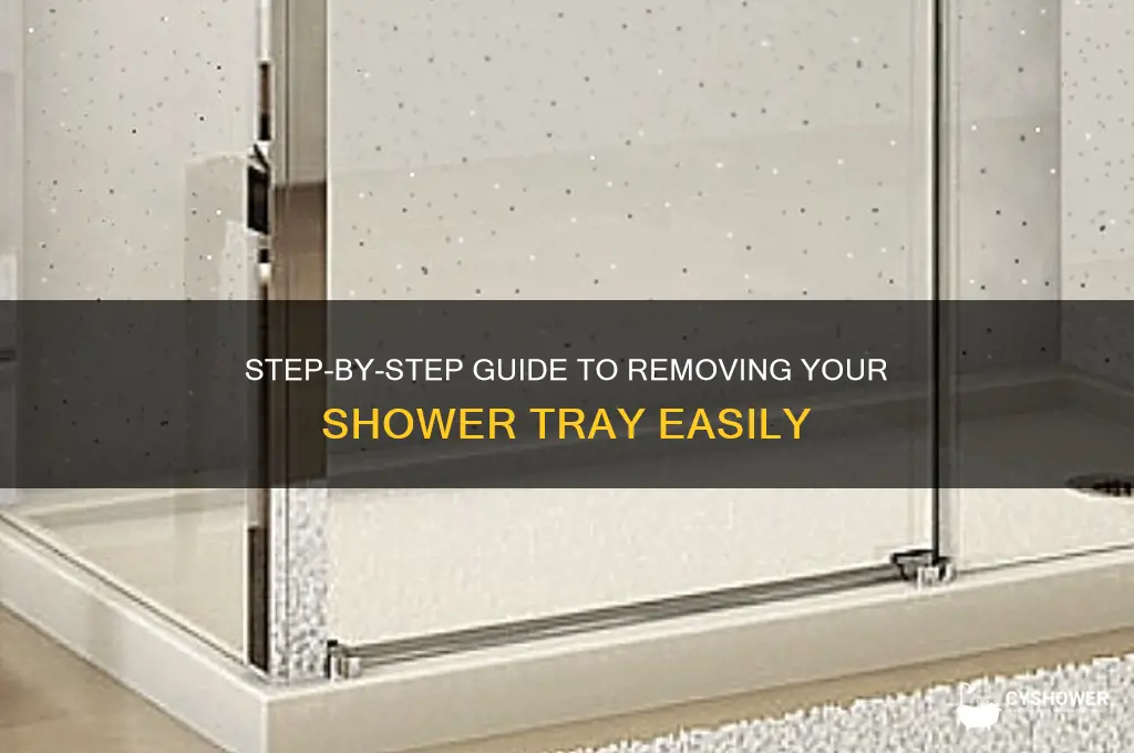 how to take a shower tray out
