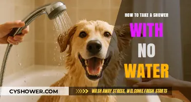 Creative Waterless Shower Tips: Stay Fresh Without a Drop