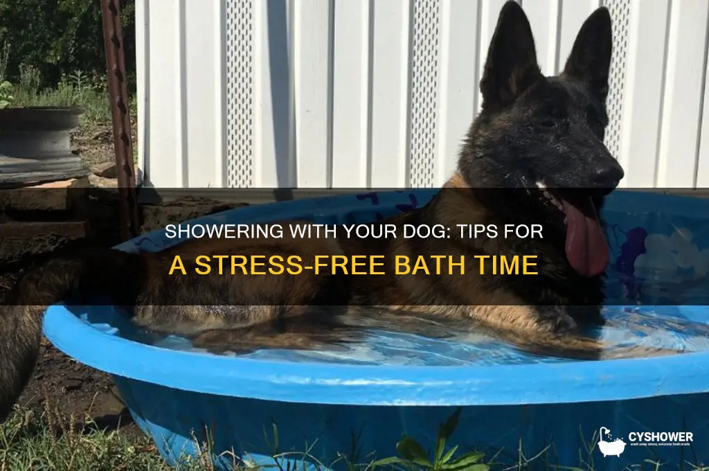 how to take a shower with your dog