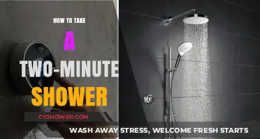 Quick Clean: Master the Art of a Two-Minute Shower