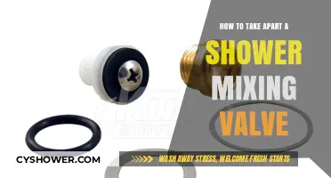 Step-by-Step Guide to Disassembling Your Shower Mixing Valve