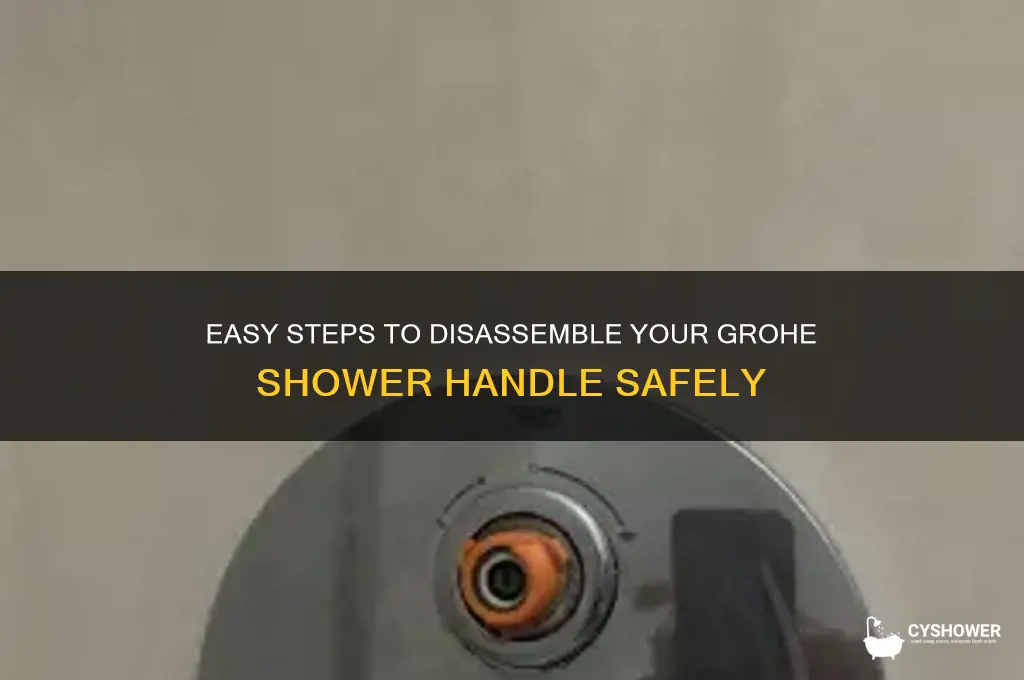 how to take apart grohe shower handle