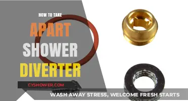 Step-by-Step Guide: Disassembling Your Shower Diverter with Ease