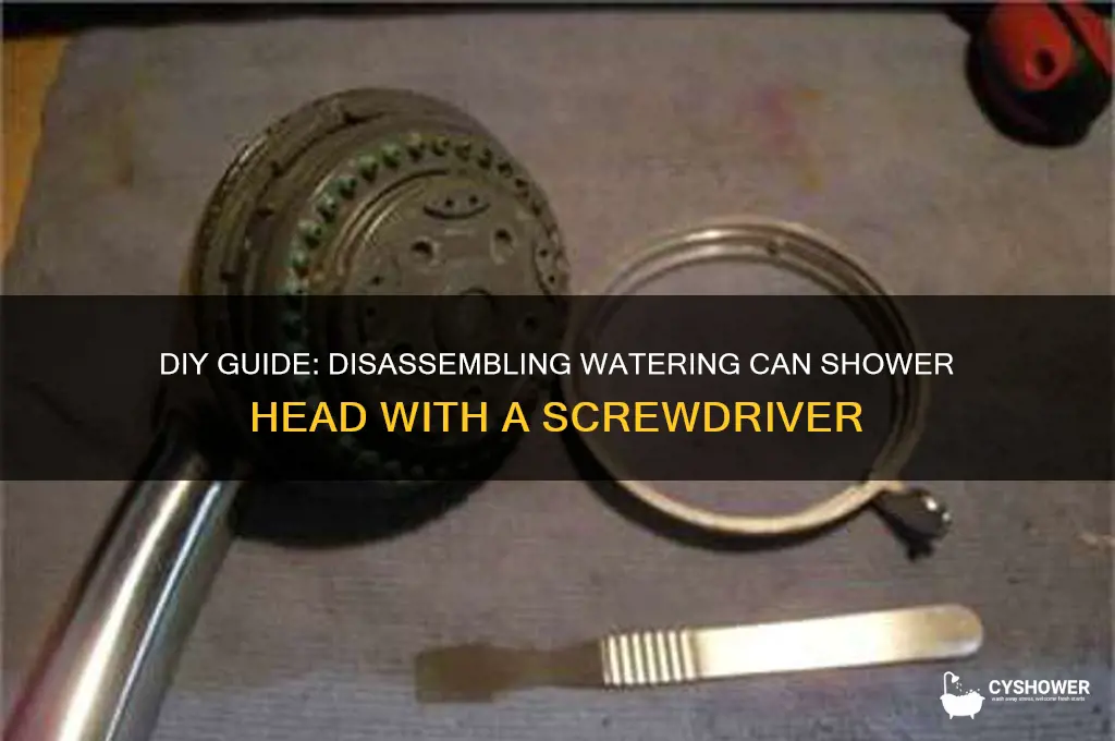 how to take apart watering can shower head screwdriver