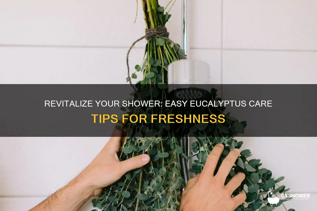 how to take care of eucalyptus in shower