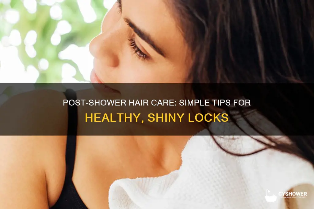 how to take care of hair after shower