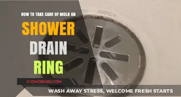 Effective Tips to Clean and Prevent Mold on Shower Drain Rings