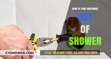 Easy Steps to Remove a Shower Cartridge Effortlessly